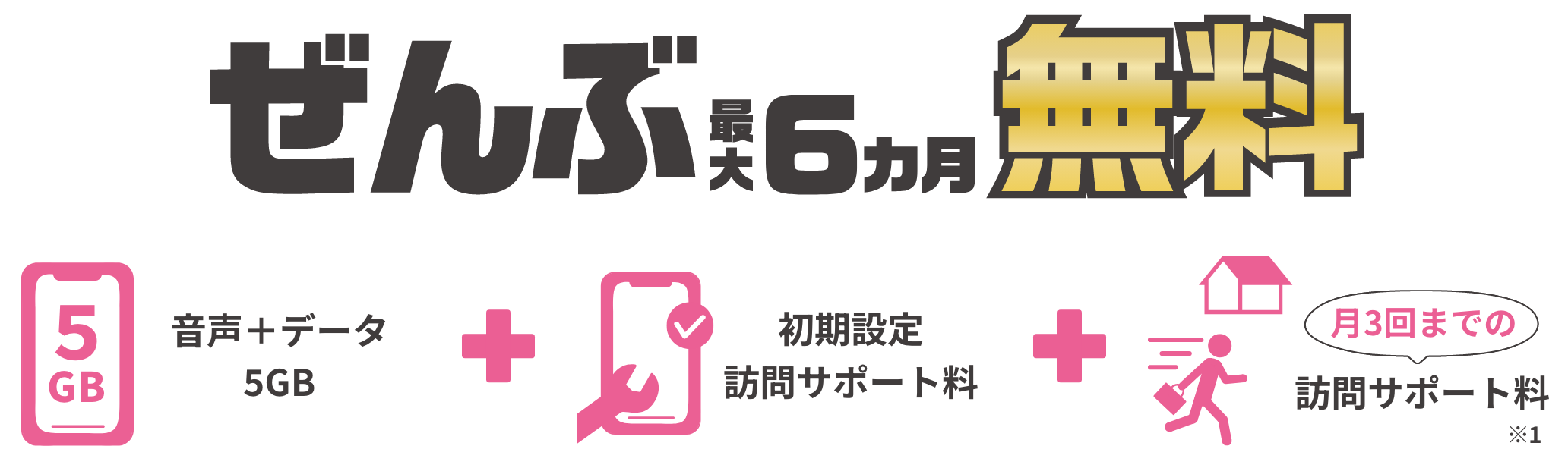 音声＋データ5GB、初期設定 訪問サポート料、月3回までの訪問サポート料※1 が全部無料